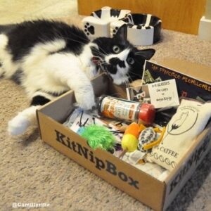 KitNipBox