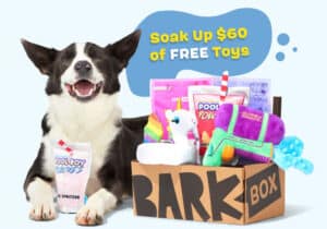 BarkBox