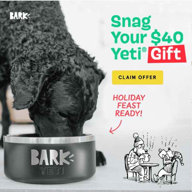 Free Dog Bowl