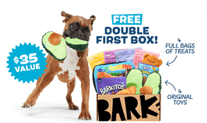 Super-Chewer-Free-Double-First-Box