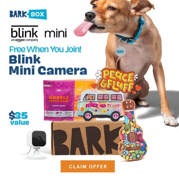 Bark Box Main Image Blink Camera