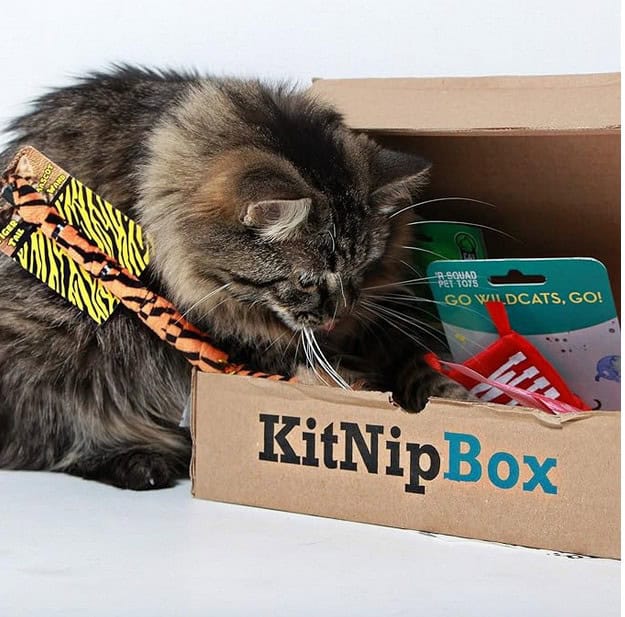 KitNipBox 4