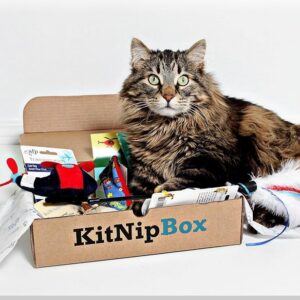 Multi cat Dietary Box