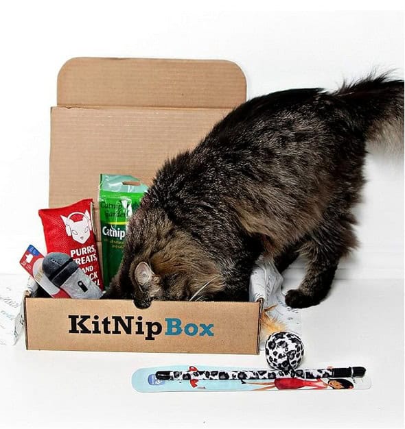 kitnip Box 4