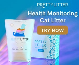 Prettylitter